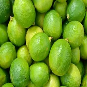 Green Lemon Citrus limon seeds for planting in home garden